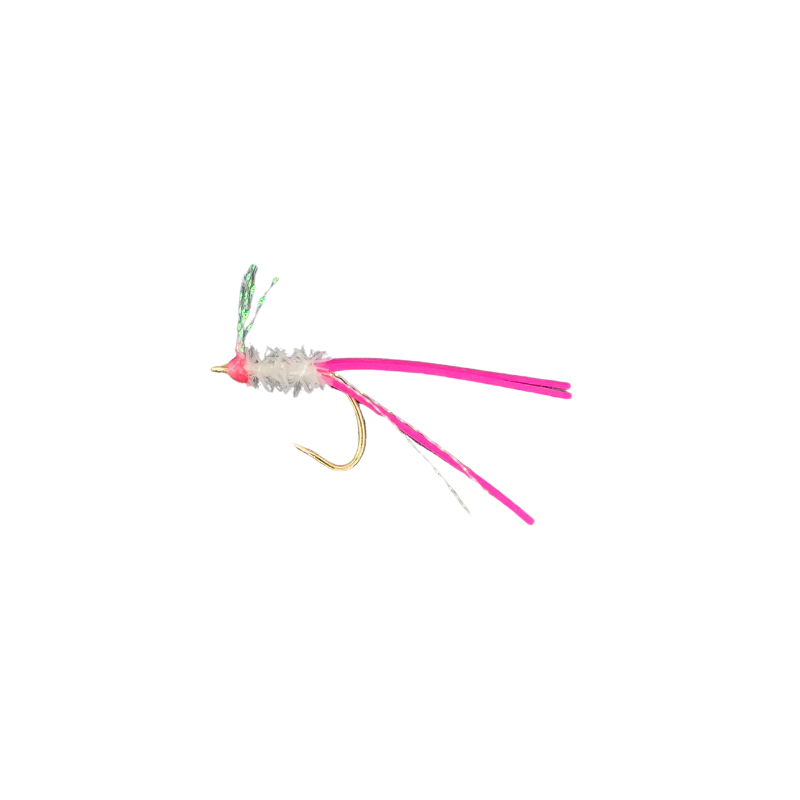 KOLOHE BOYZZ FLIES MENPACHI