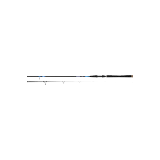 DAIWA ROD BEEFSTICK SSS