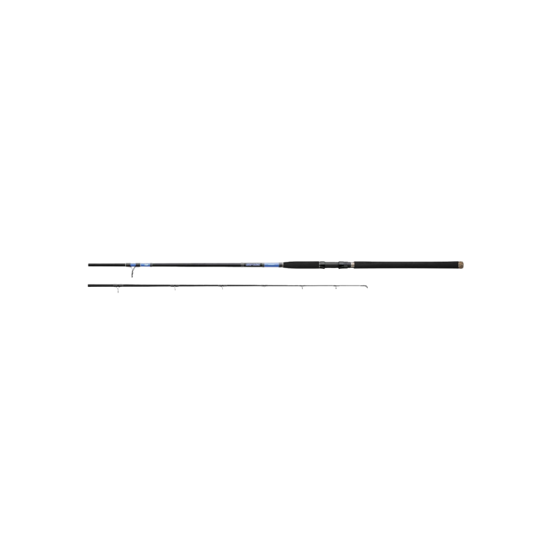 DAIWA BEEFSTICK SURF ROD