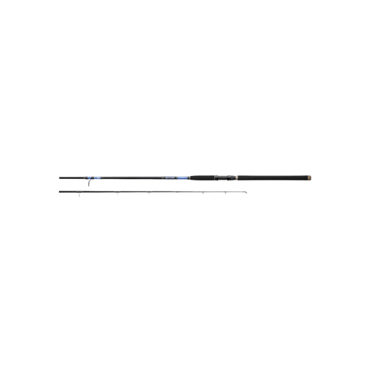 DAIWA ROD BEEFSTICK SURF