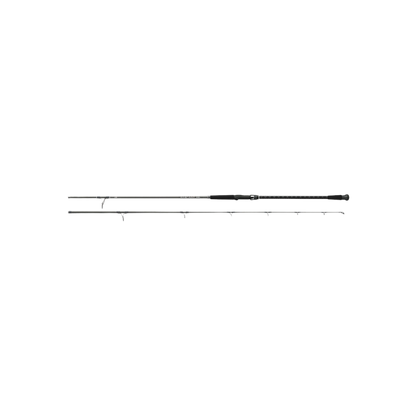 DAIWA EMCAST SURF ROD