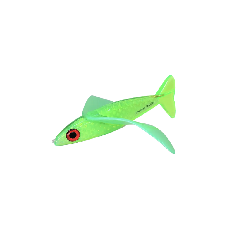 HAWAIIAN MALOLO FLYING FISH