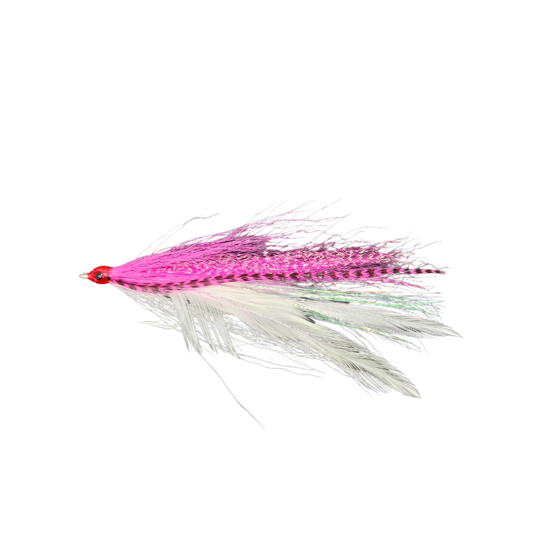 KOLOHE BOYZZ FLIES DECEIVER FLY