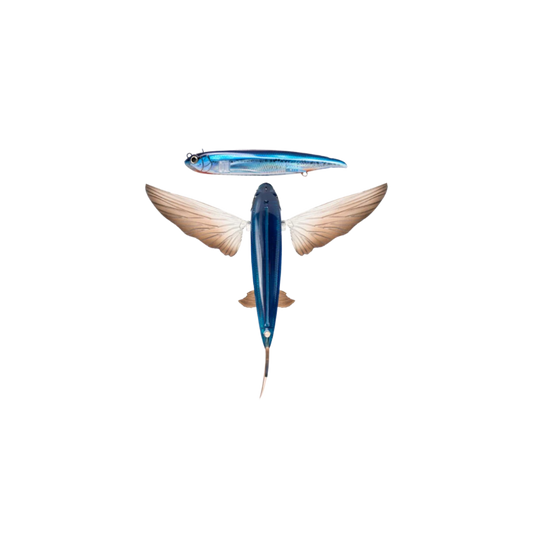 NOMAD SLIPSTREAM FLYING FISH - OCEANIC