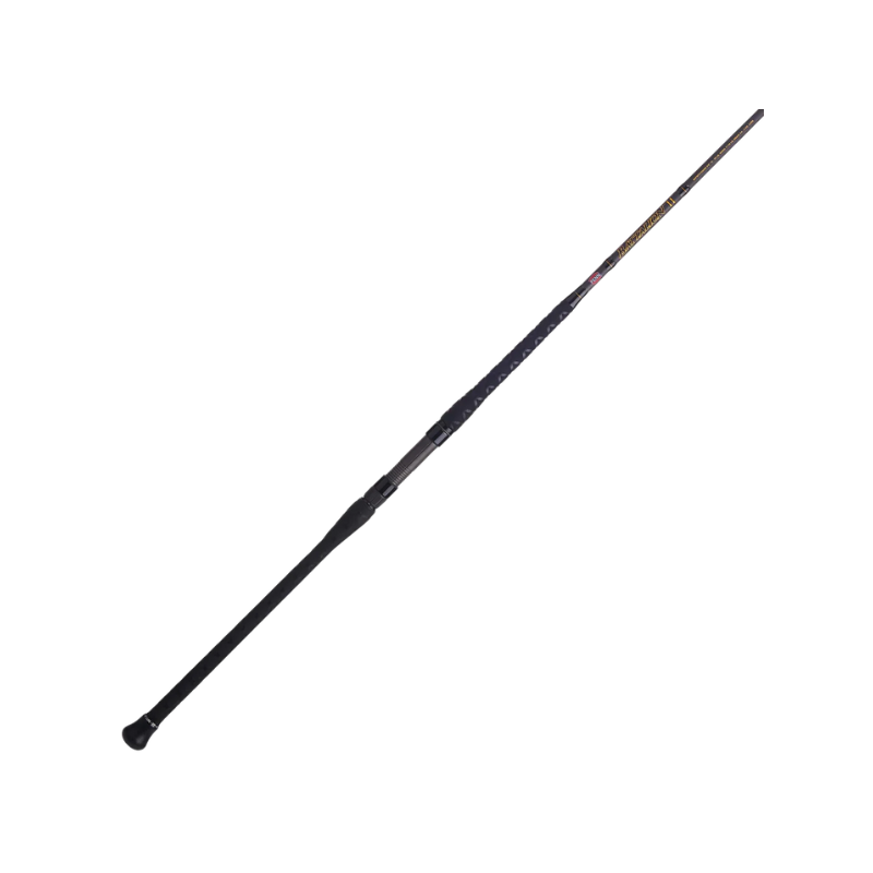 PENN BATTALION II SPINNING ROD