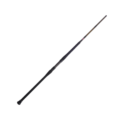 PENN BATTALION II SPINNING ROD
