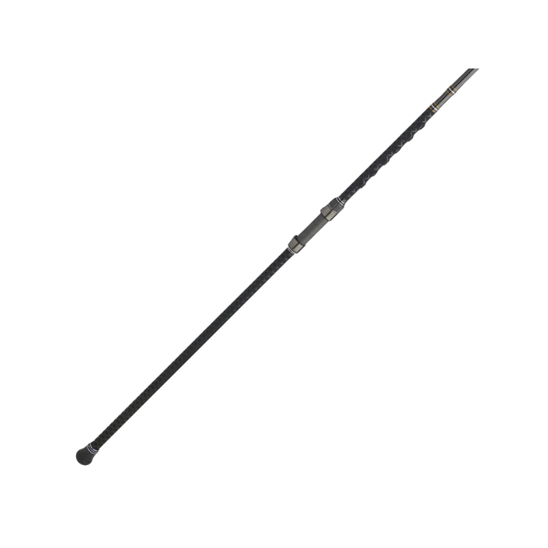 PENN CARNAGE III CONVENTIONAL SURF ROD