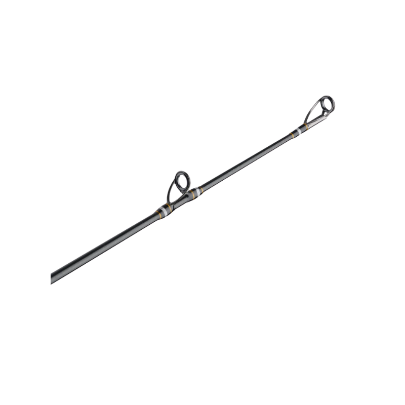 PENN CARNAGE III CONVENTIONAL SURF ROD