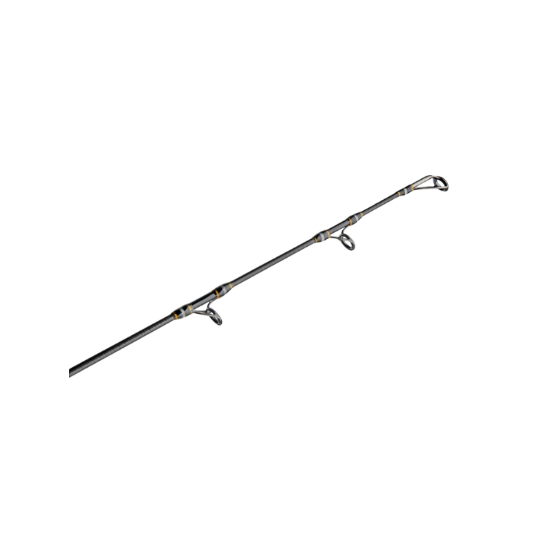 PENN CARNAGE III SPINNING SURF ROD